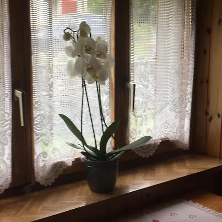 Monolocale Amianti Поскьяво